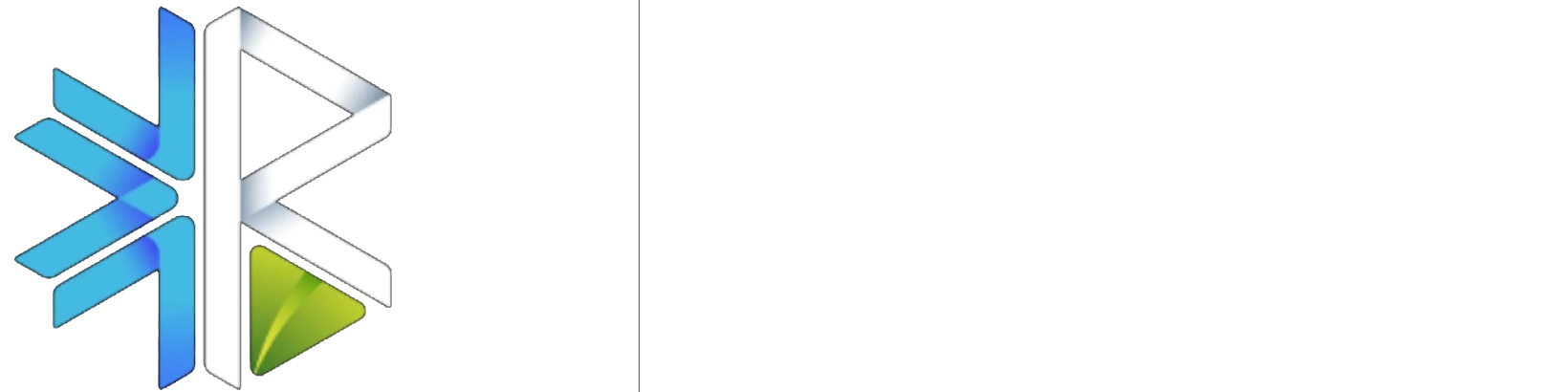 Ruvitec Logo